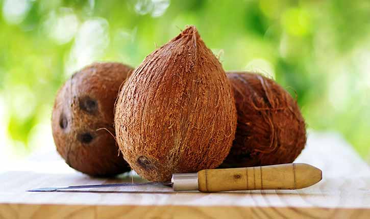 Coconut-articleOK